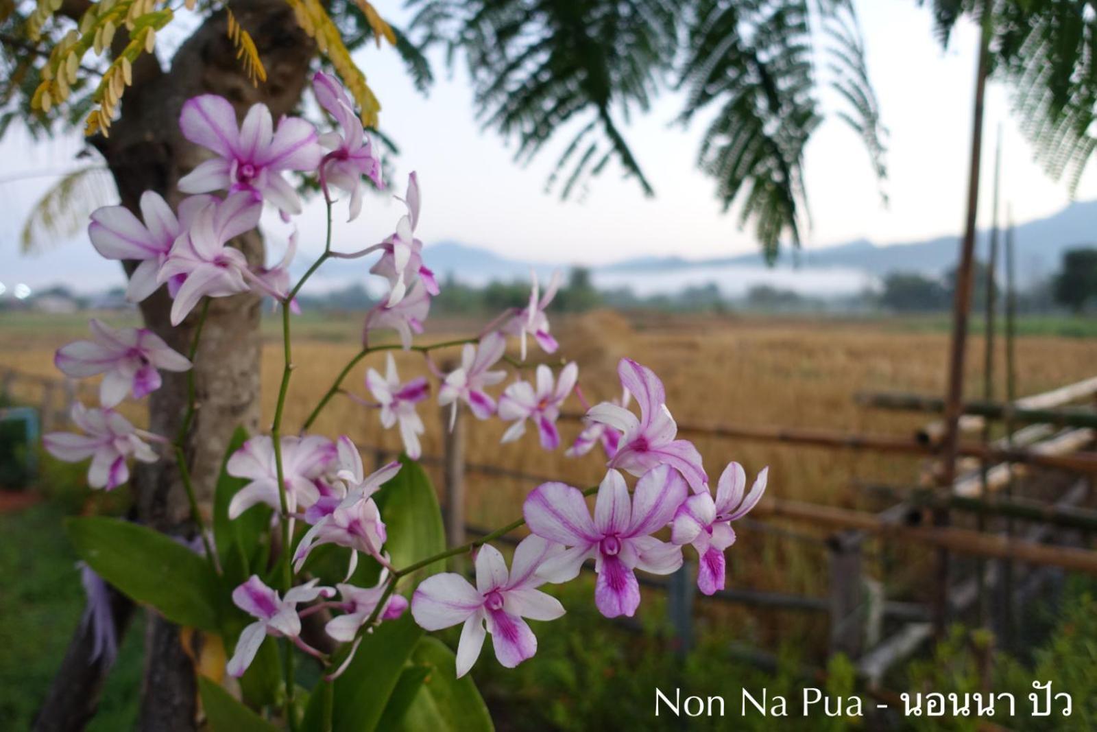 Non Na Pua - นอนนา ปัว Hotel ภายนอก รูปภาพ